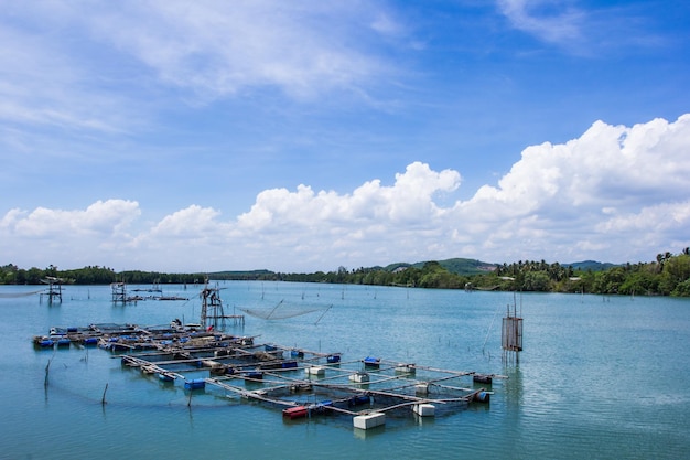 Foto kooi aquacultuur landbouw thailand