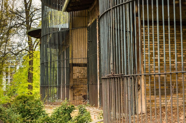 Kooien met metalen afdekkingen omgeven door bomen