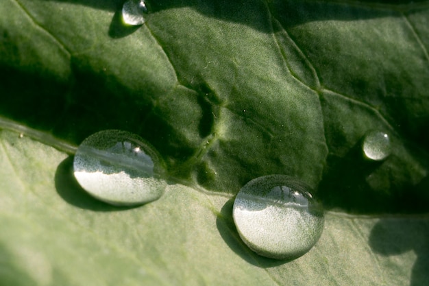 Kool met Waterdrops