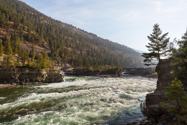 Kootenai river