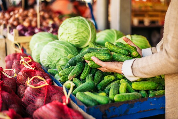 Kopen van verse komkommers op boerenmarkt. Onherkenbaar persoon.