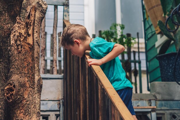 Kopieer de ruimte levensstijl kleine jongen bewegen houten trappen naar beneden buiten houden leuningen zoeken gezichtsuitdrukking spelen verbergen concept zorgvuldig zoeken naar nieuwe verwachtingen onderwijs kinderen kind goederen