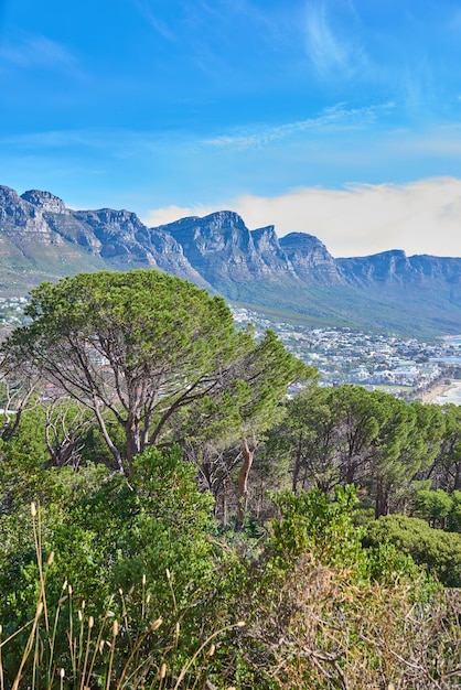 Kopieer de ruimte met de Twaalf Apostelen op de Tafelberg in Kaapstad tegen een blauwe hemelachtergrond Prachtig uitzicht op planten en bomen die groeien rond een majestueuze rotsachtige vallei en een schilderachtige stad in de natuur