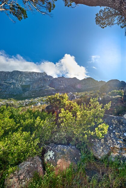 Kopieer de ruimte met het landschap van de Tafelberg in Kaapstad tegen een bewolkte blauwe hemelachtergrond van onderen Prachtig schilderachtig uitzicht op planten en bomen rond een iconisch natuurlijk monument op een zonnige dag