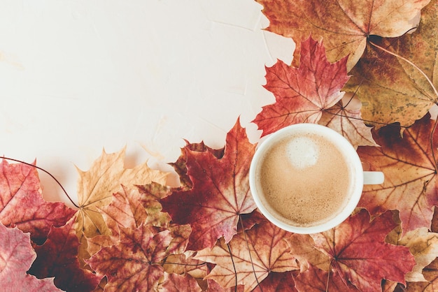 Kopje espresso en rode esdoornbladeren in de herfst op witte kopieerruimte Herfstseizoenstemming