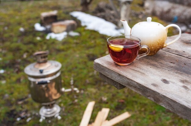 Kopje geurige zwarte thee, picknick buiten