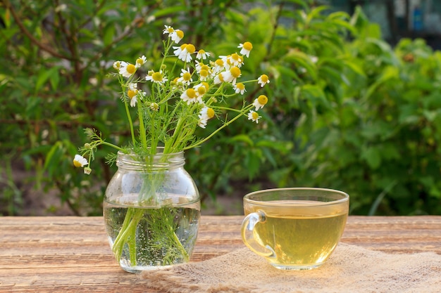 Kopje groene thee en glazen pot met witte kamille bloemen op houten planken met groene natuurlijke achtergrond.