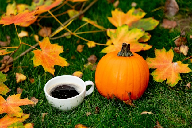 Kopje koffie en pompoen met esdoorn bladeren op een groen gras in een tuin