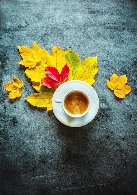 Kopje koffie met gele en rode bladeren op een betonnen achtergrond herfstdecoratie