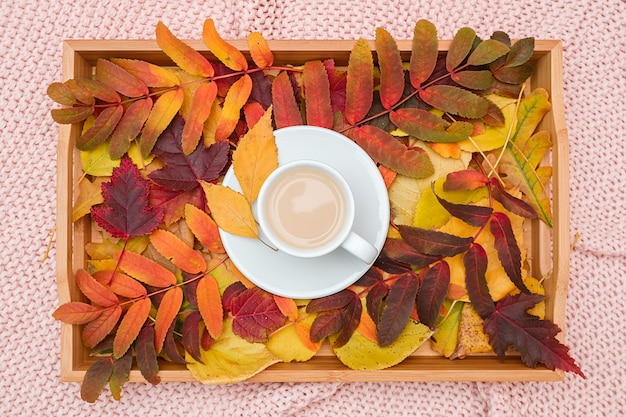 Kopje koffie met melk en kleurrijke bonte bladeren op houten dienblad op roze gebreide plaid. Herfst gezellig.
