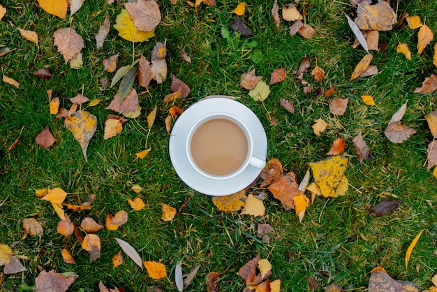 Kopje koffie op een groene weide met bladeren