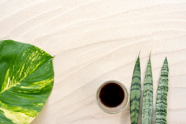Kopje koffie op zandstrand met gevlekte betel en slang plant achtergrond