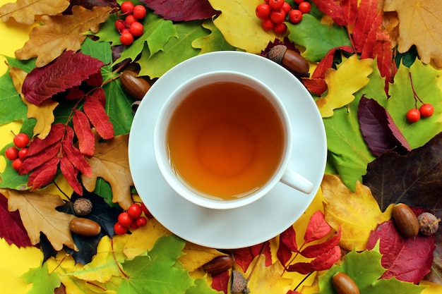 kopje thee staat op een achtergrond van herfstbladeren en bessen.