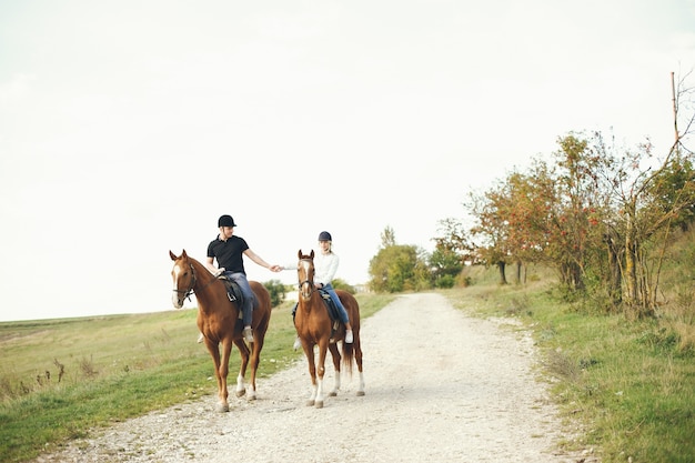 koppel met paarden