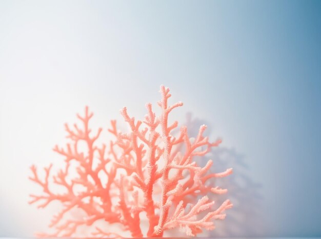Foto koraal zonsondergang minimale abstracte lichte achtergrond