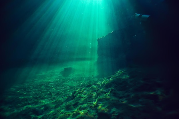 koraalrif onderwaterlandschap, lagune in de warme zee, uitzicht onder water ecosysteem