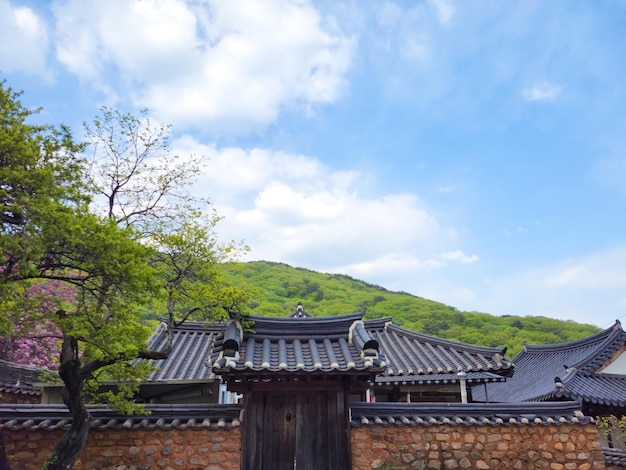 韓国仙岩寺の伝統的な寺院の屋根の写真、屋外の春の青い空を背景に