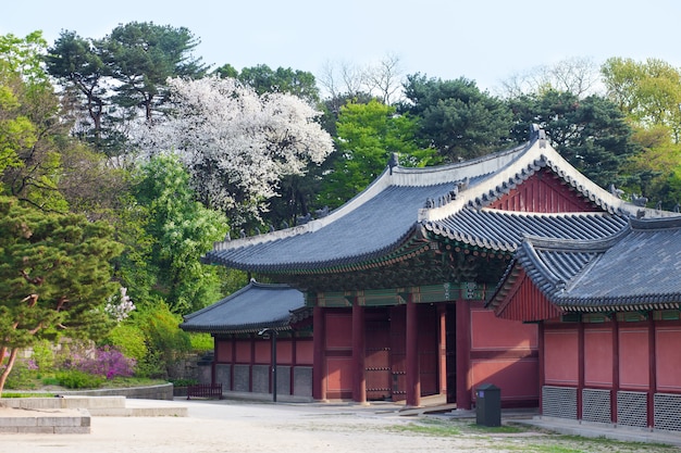 Koreaanse stijlhuizen in Changdeokgung-Paleis in Seoel, Korea. Foto gemaakt met groothoeklens