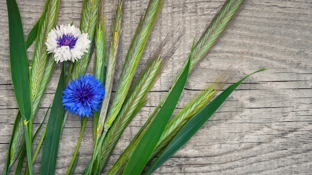 Korenbloemen en oren