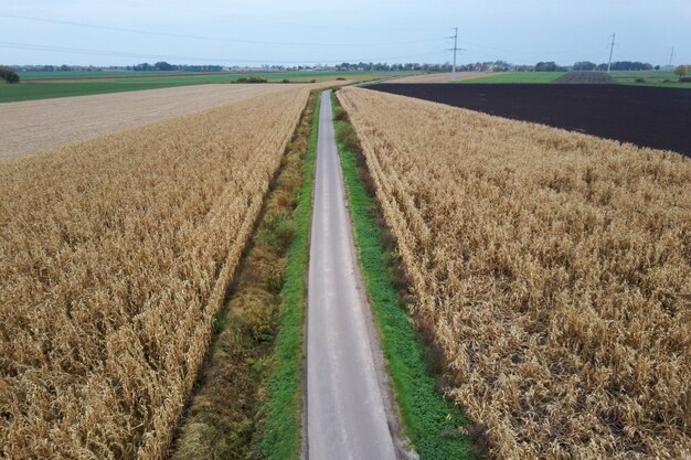 Korenveld en wegen in vogelvlucht