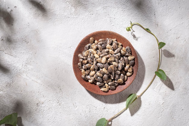 Korrels van ricinusolie plant in kom op witte achtergrond