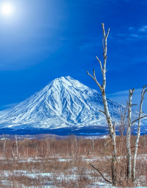 Koryaksky volcano in Kamchatka and the blue sky with sunlight