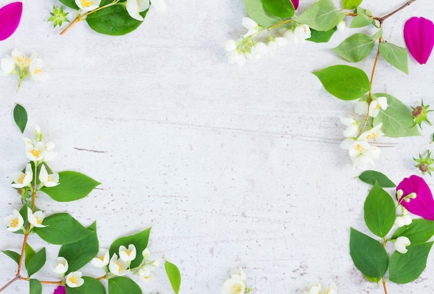 Kosmos en jasmijn verse bloemen en bladeren feestelijke kadersamenstelling