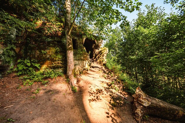 Photo kost castle bohemian paradise czech republic rivately owned by kinsky dal borgo noble family it was first proposed by benes