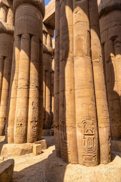 Kostbare zuilen met oude Egyptische tekeningen in de tempel van Luxor, Egypte