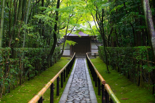 Koto in zen temple famous for its garden