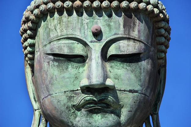 Kotoku-in tempel, Grote Boeddha van Kamakura, Japan