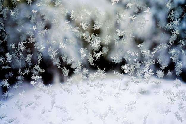 koud natuurlijk licht sneeuw kerstmis kerstmis