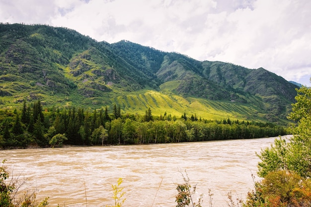 Koude aard van het Altai-gebergte en de Katun-rivier in Siberië in Rusland