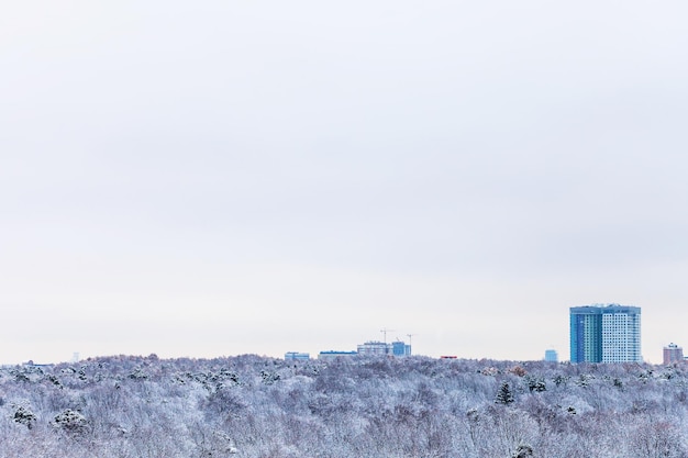 Koude blauwe lucht boven flatgebouw en bos