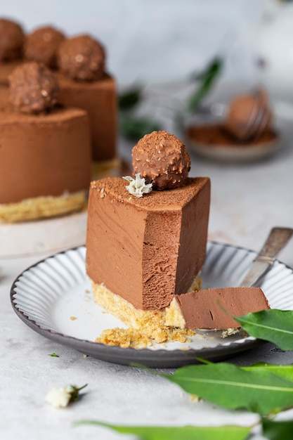 Koude rauwe chocolade cheesecake met truffel en cacaopoeder