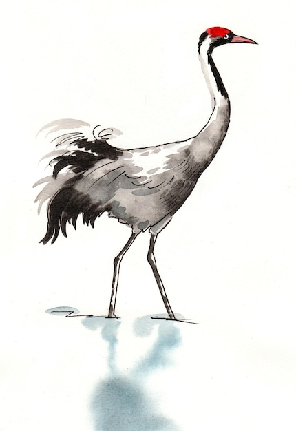 Kraanvogel. Inkt en aquarel tekenen