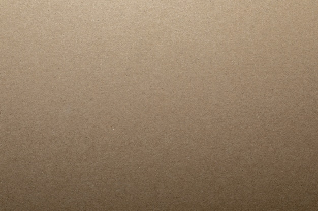 Kraft cardboard texture. Copy Space.