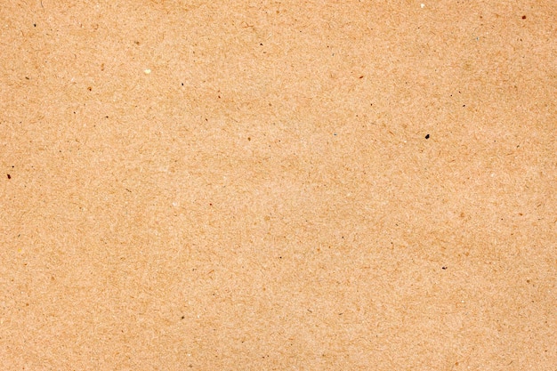 Kraft Paper Texture