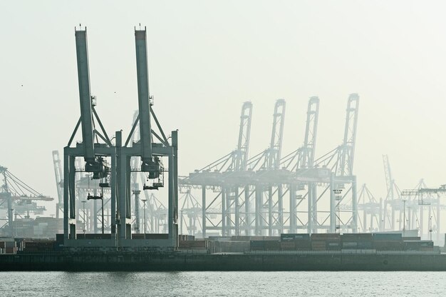 Kranen in de haven tegen de lucht