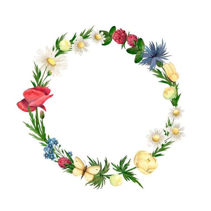 Foto krans van waterverf wilde bloemen van kamille papaver klaver tansy boterkoek