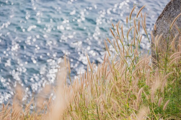 Krating beach and hill landscape from high point, Phuket, Thailand