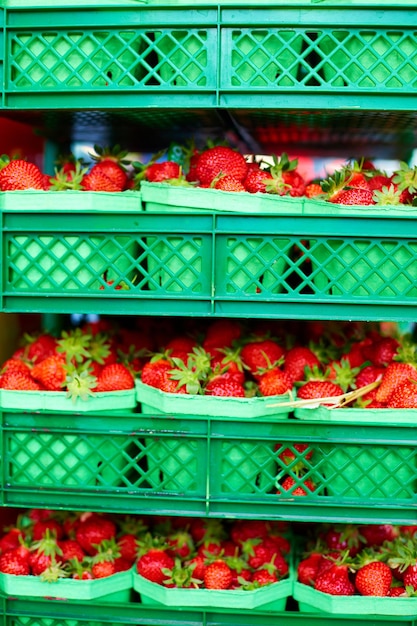 Kratten verse rijpe aardbeien in de schappen van de supermarkt