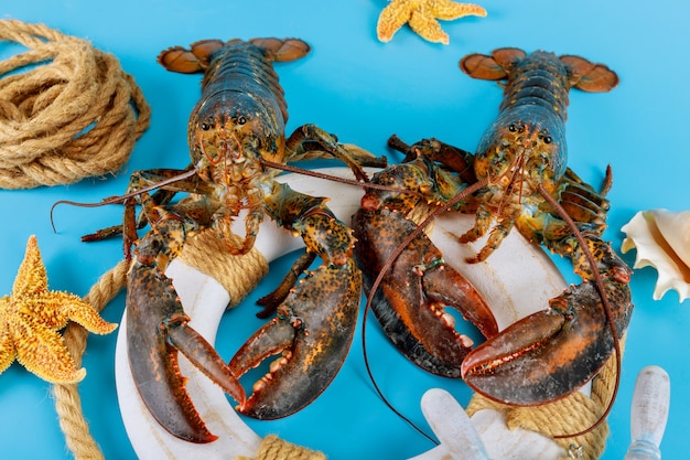 Kreeften op reddingscirkel met zeester op blauwe oppervlakte