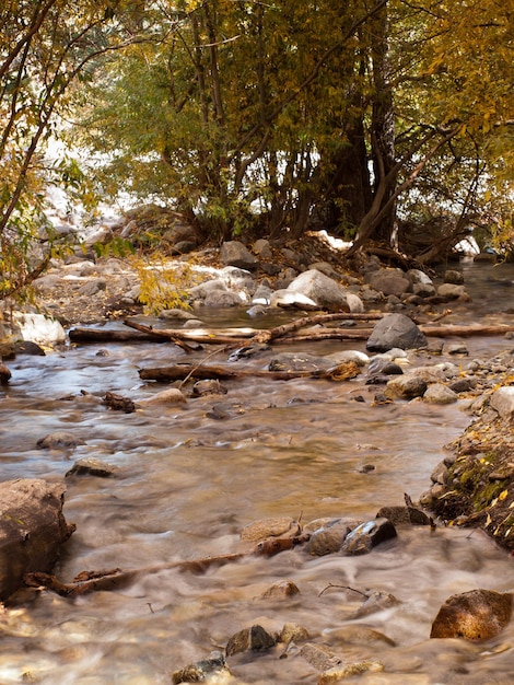 Kreek bij Zapata Falls, Colorado.