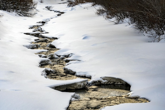 Kreek op de sneeuwachtergrond