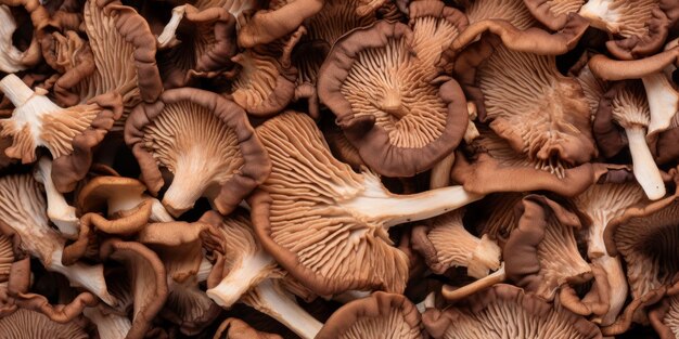 Krijg je herfstgevoel met paddenstoelen en planten die zo koel zijn