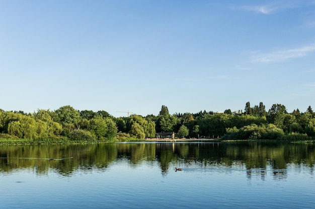 Foto kristal en turquoise water van het trout lake in vancouver en groene bomen aan de kust