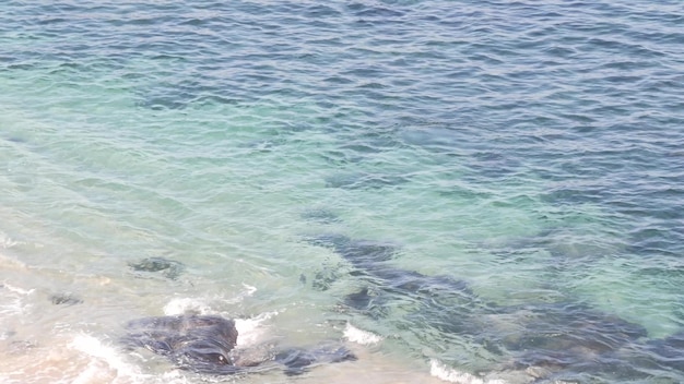 Foto kristalblauw azuurblauw transparant oceaan californië kust turkoois wateroppervlak