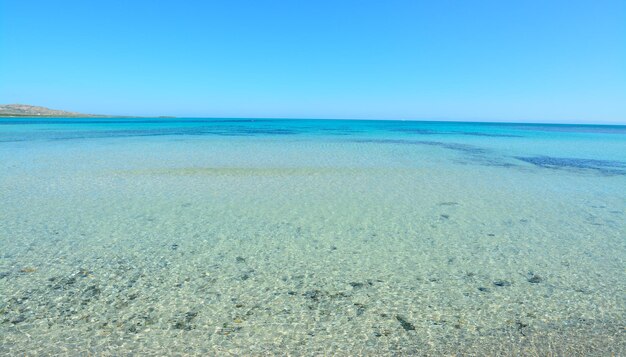 Kristalhelder water op het strand van La Pelosa Sardinië