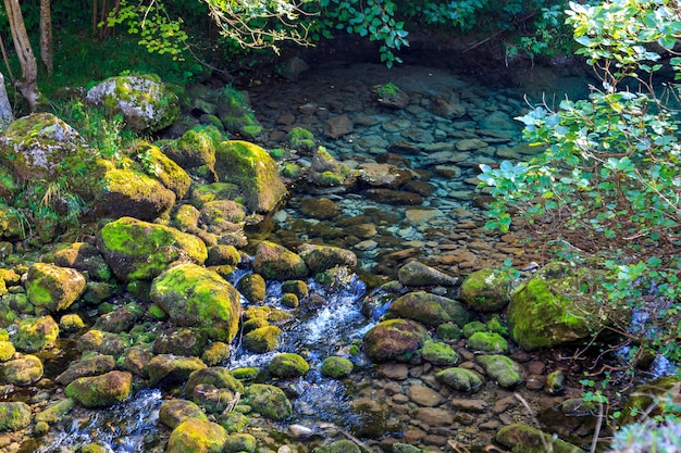 Kristalhelder water van bergrivier die uit de dooi komt. Nationaal park van de Picos de Europa (Cantabrië, Asturië, Castilla y Leon - Spanje). Privéforel en zalmvissen behouden.